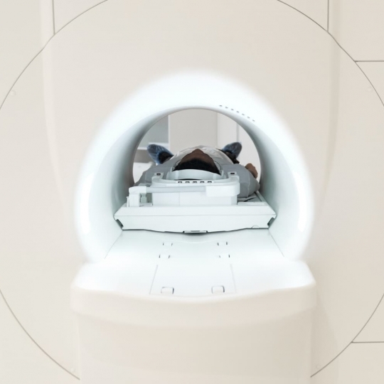 Czym się różni rezonans magnetyczny od tomografii?