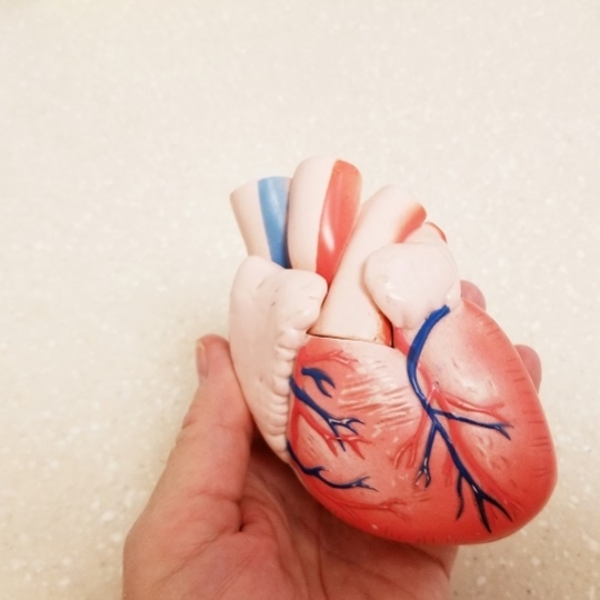Rezonans magnetyczny serca, kiedy i czy zawsze można go wykonać?